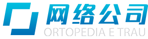 某某网络科技公司