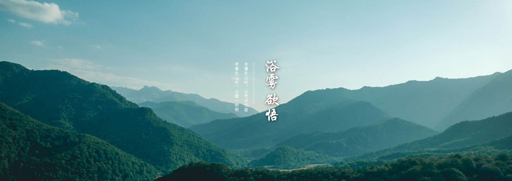 某某网络科技有限公司