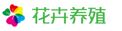 花卉养殖新闻资讯类